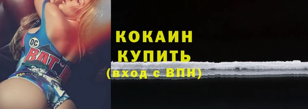 сатива Верея