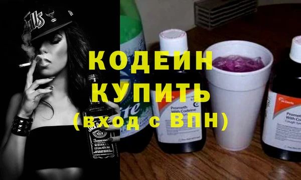 ПСИЛОЦИБИНОВЫЕ ГРИБЫ Инсар